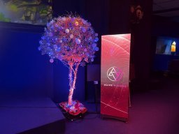 alive-visions-showoom-0004